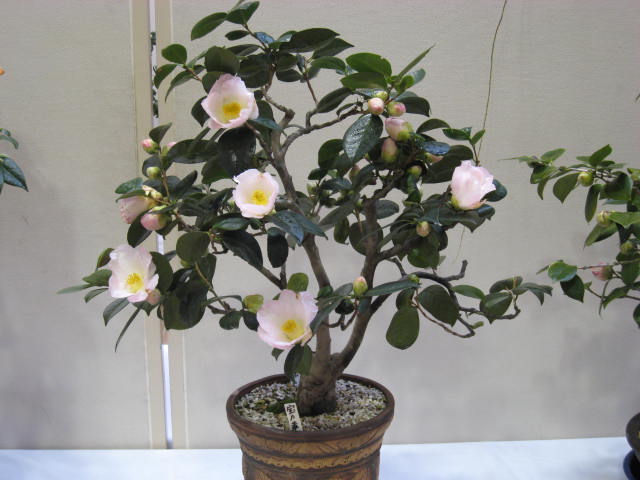 c0152507_0325363.jpg