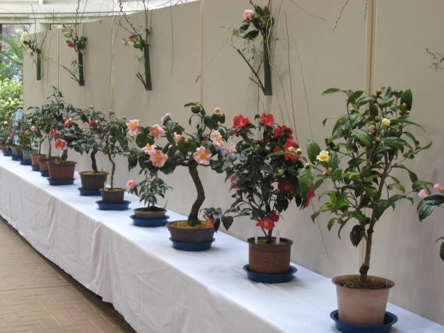 c0152507_0394442.jpg