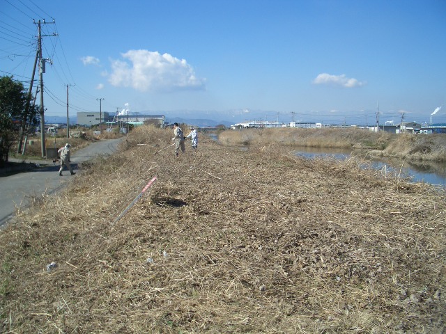 f0141310_23474681.jpg