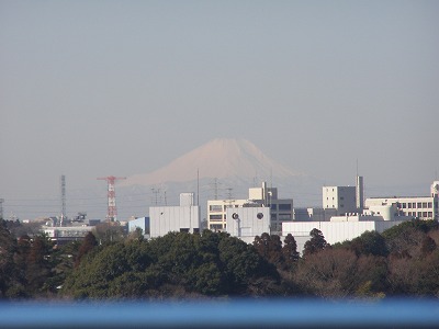 d0147812_1224222.jpg