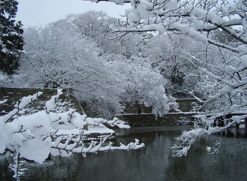 e0033713_2044698.jpg