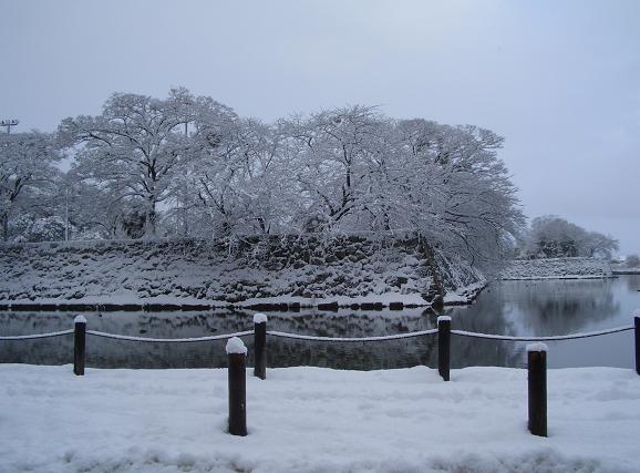 e0033713_2082282.jpg