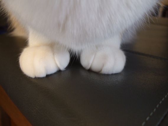 c0039114_22203851.jpg