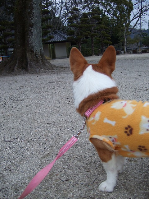 c0127617_1110461.jpg
