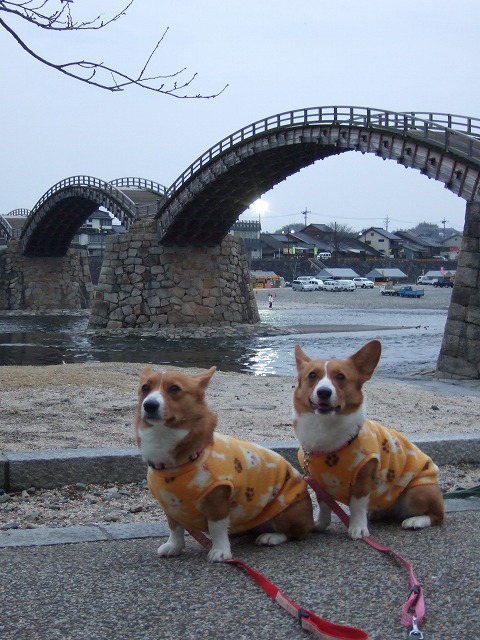 c0127617_1135191.jpg