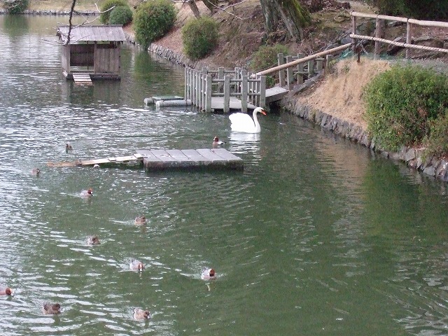 c0127617_1155859.jpg