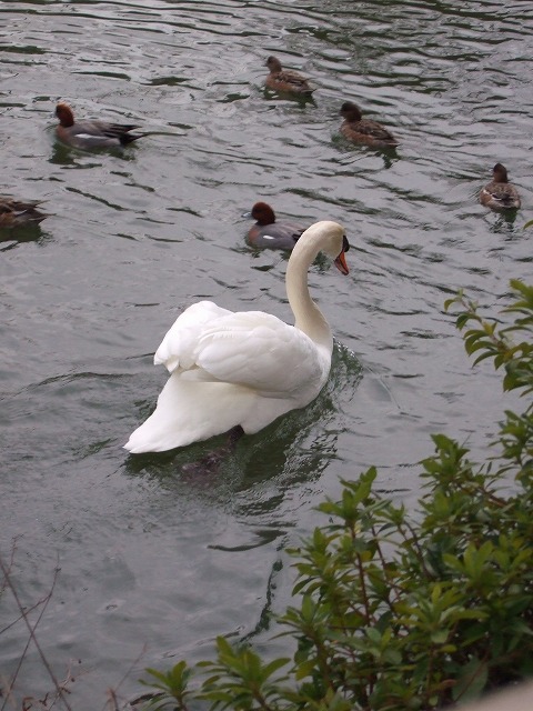c0127617_117575.jpg
