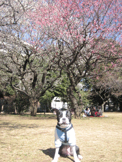 e0080117_227384.gif