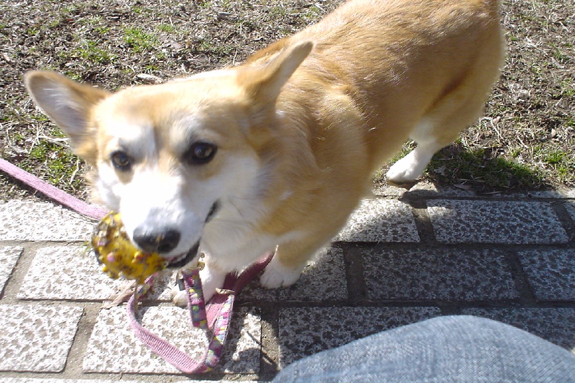 c0150520_21443829.jpg