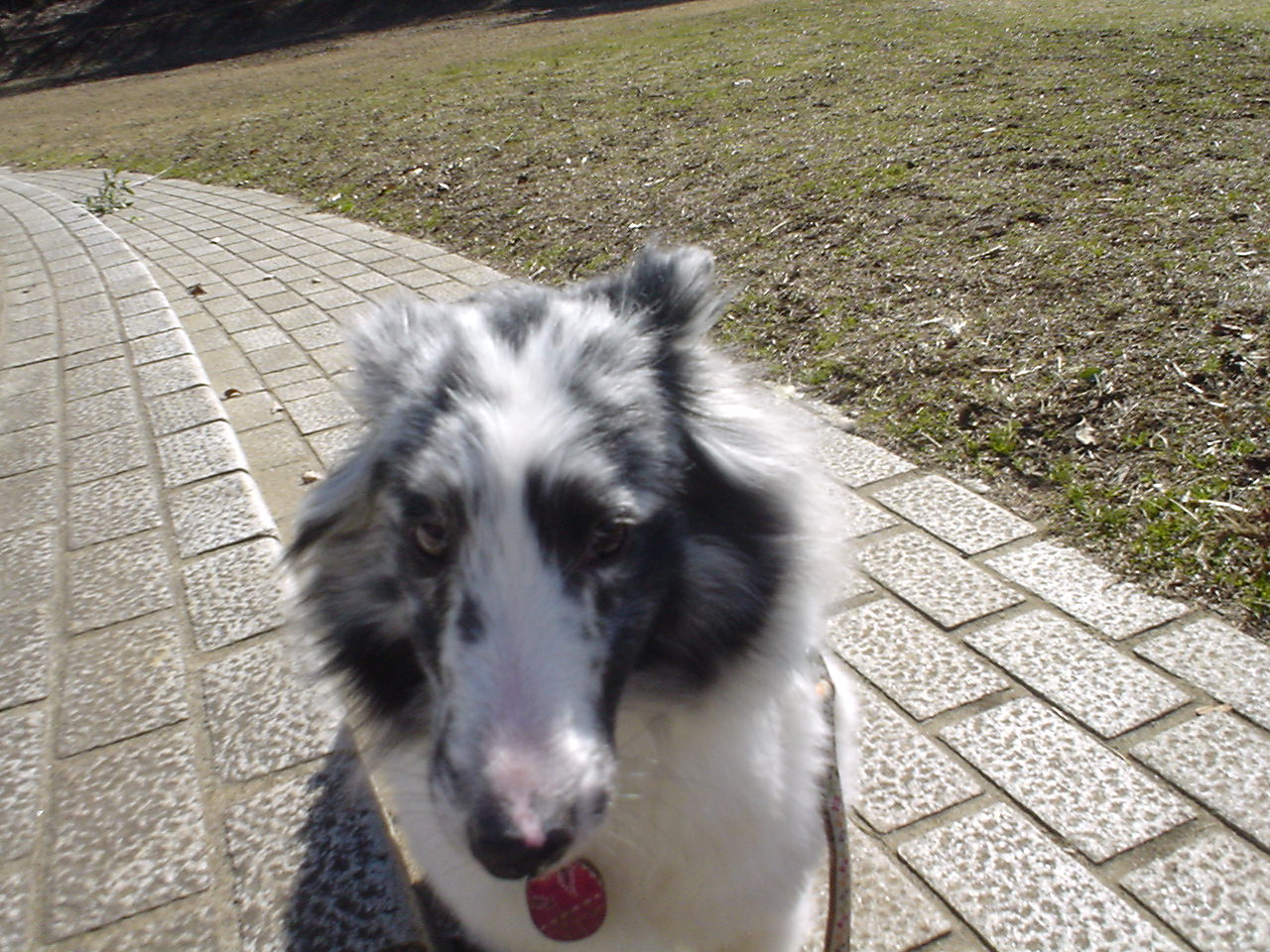 c0150520_21452318.jpg