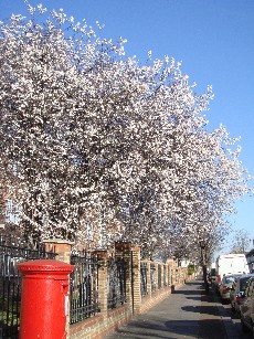 e0114020_745181.jpg