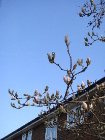 e0114020_875631.jpg
