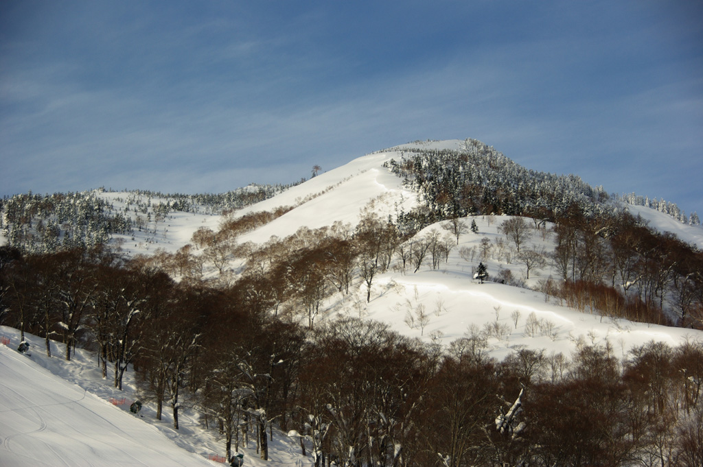 b0062024_17551564.jpg