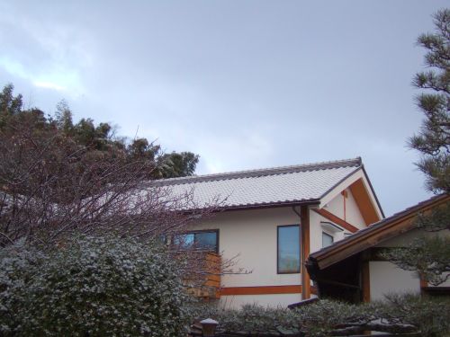 d0041124_975321.jpg