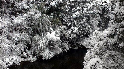 f0060424_9273238.jpg