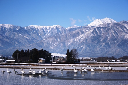 f0131939_14456100.jpg
