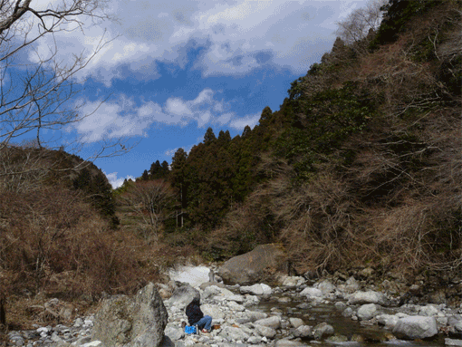 a0056140_23294172.gif