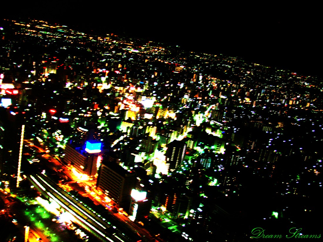 b0072541_21312357.jpg