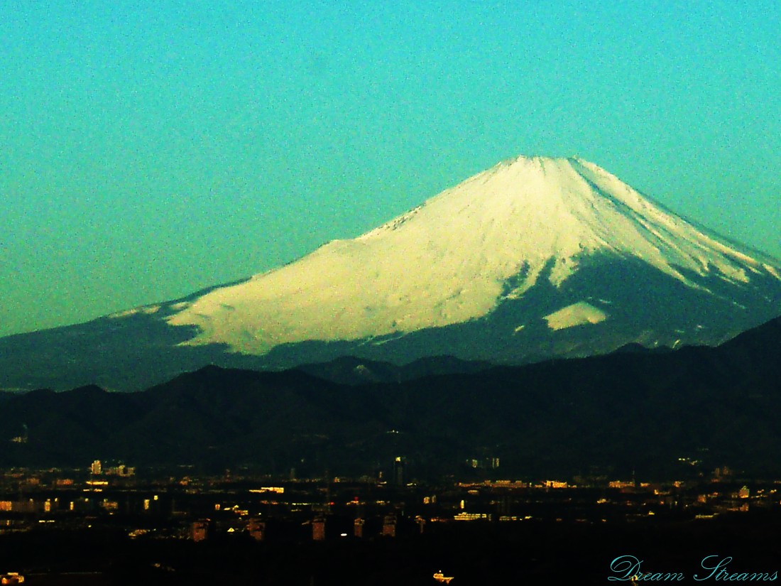 b0072541_21313690.jpg