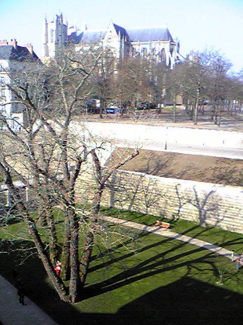 e0092843_6461823.jpg