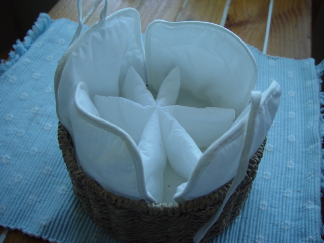e0073947_735353.jpg