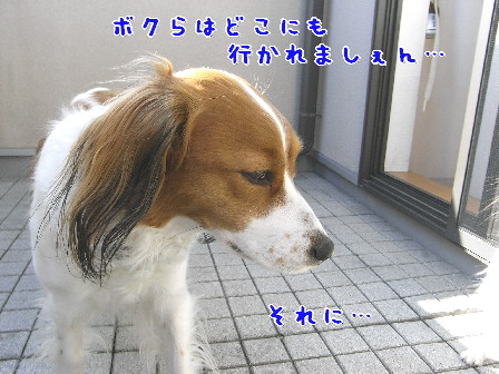 d0013149_147251.jpg