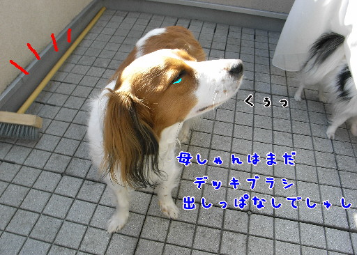 d0013149_1481327.jpg