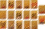 d0029958_2001798.jpg