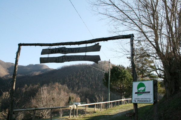 f0077159_212620.jpg