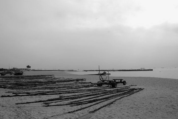 e0053660_21141778.jpg