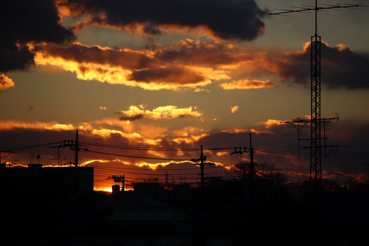 b0027267_2155451.jpg