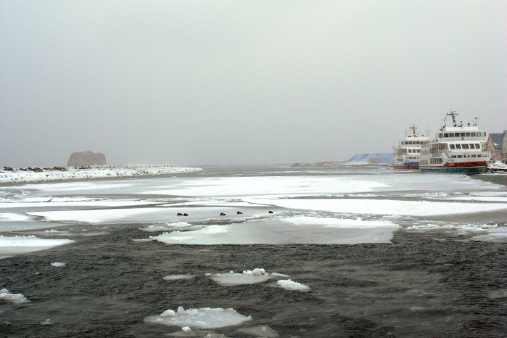 e0100772_21414316.jpg