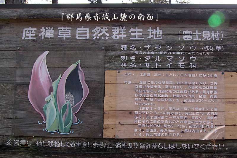 d0070473_15343770.jpg
