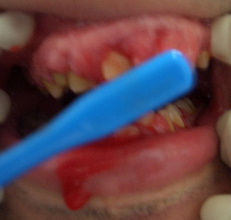 d0064175_439121.jpg