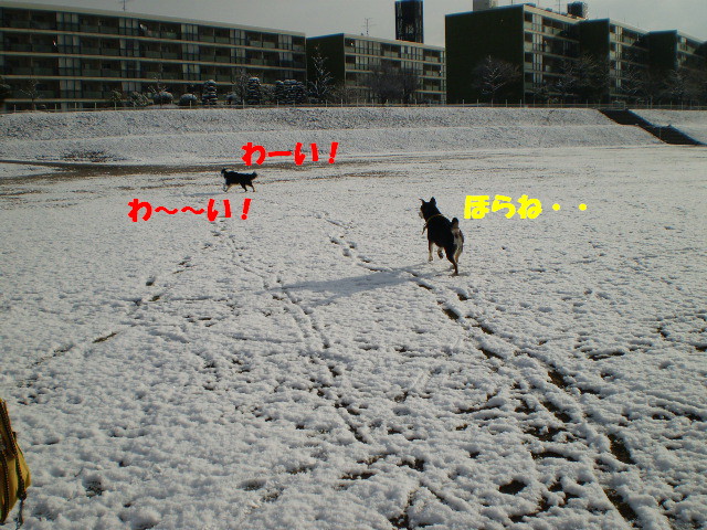 e0117976_22182380.jpg
