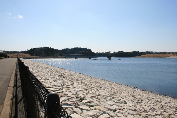 e0114977_1701649.jpg