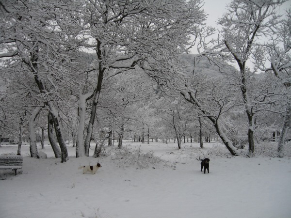 f0133681_2129215.jpg