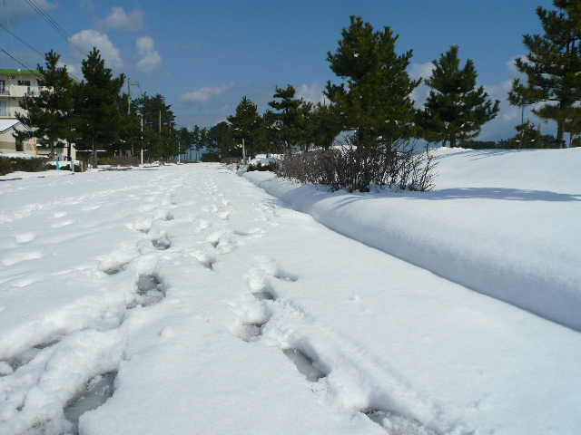 d0120282_1316821.jpg