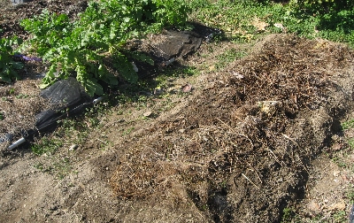 f0003283_14364723.jpg