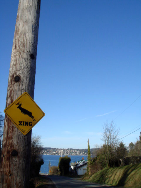 c0103793_10324568.jpg