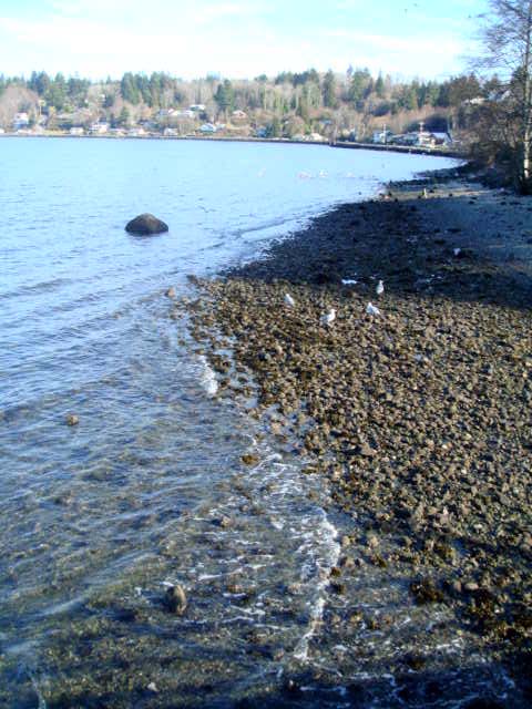 c0103793_10431234.jpg