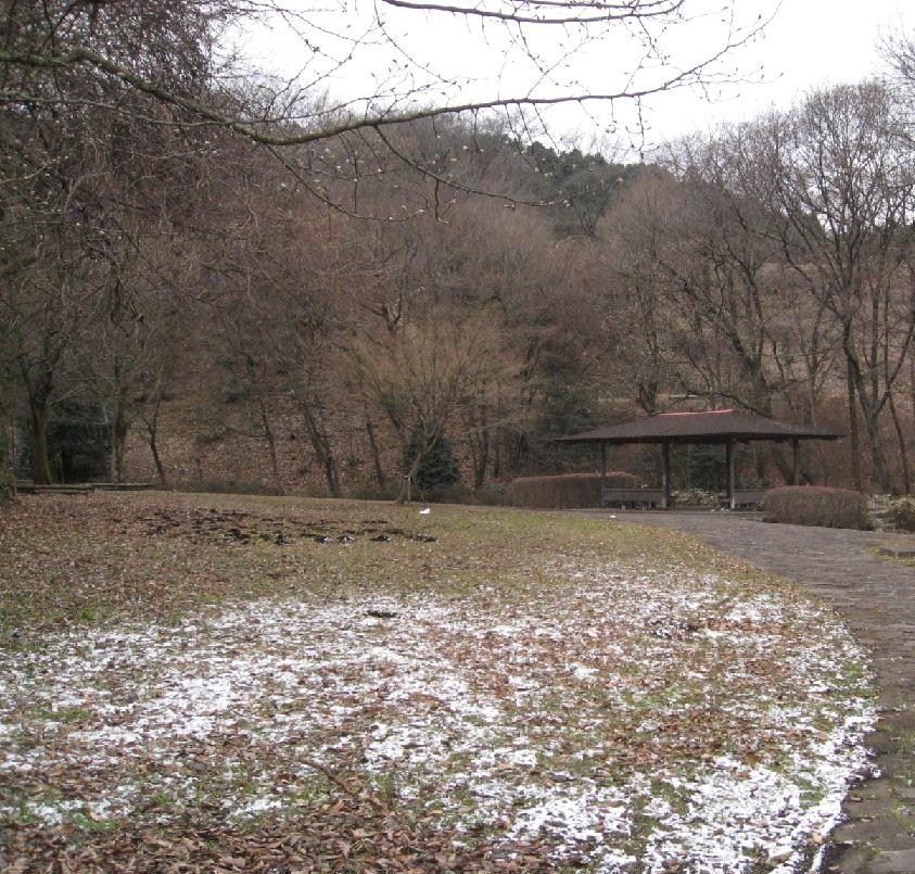 d0133693_2012566.jpg