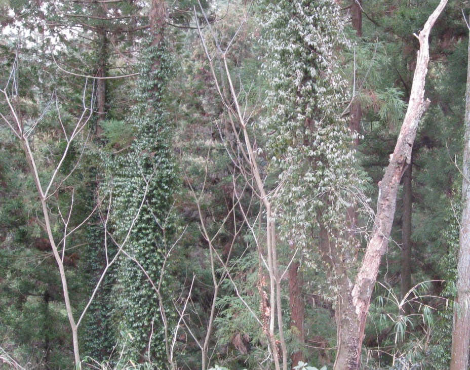 d0133693_2035221.jpg