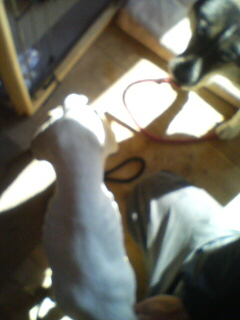 f0134693_1649399.jpg