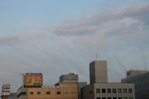 a0018200_1134431.jpg