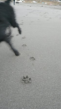 c0050400_23161993.jpg