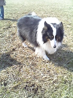 c0133303_2051539.jpg