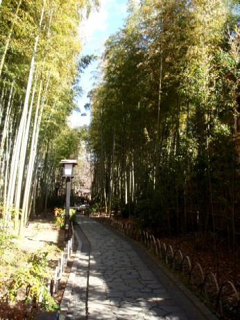 f0043911_1434152.jpg