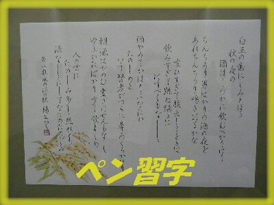 c0009528_21251027.jpg