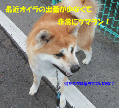 f0008935_11581525.gif